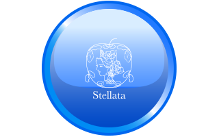 stellata（ステッラータ）